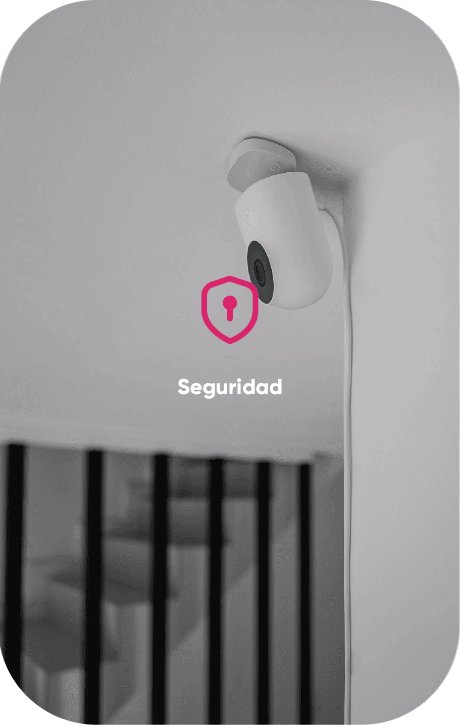 d_seguridad